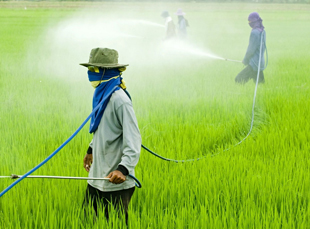 Analysis of global pesticide trade: In recent years, the total global pesticide exports reached 5.8 million to 5.9 million tons, and China accounted for about 37